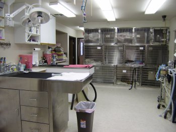 Centennial Animal Hospital - Veterinarian In Corona, CA USA :: Virtual  Office Tour