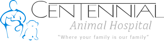 Home | Veterinarian in Corona, CA | Centennial Animal Hospital